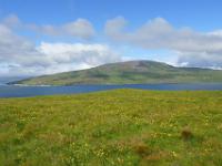 Grimsey Aussicht auf Drangsnes und Bæjarfell